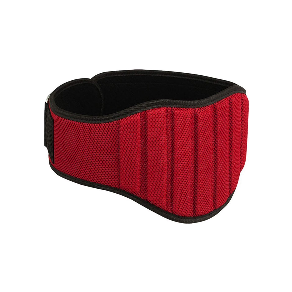 Fitness Belts